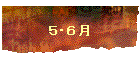 TEU